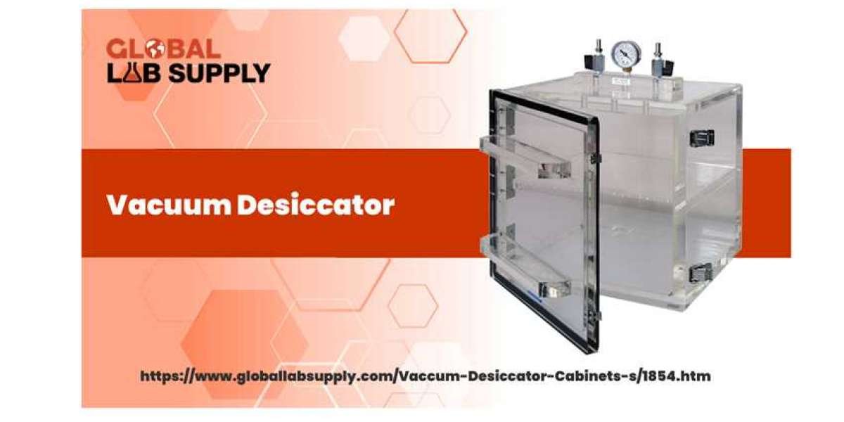A Comprehensive Guide to Vacuum Desiccators