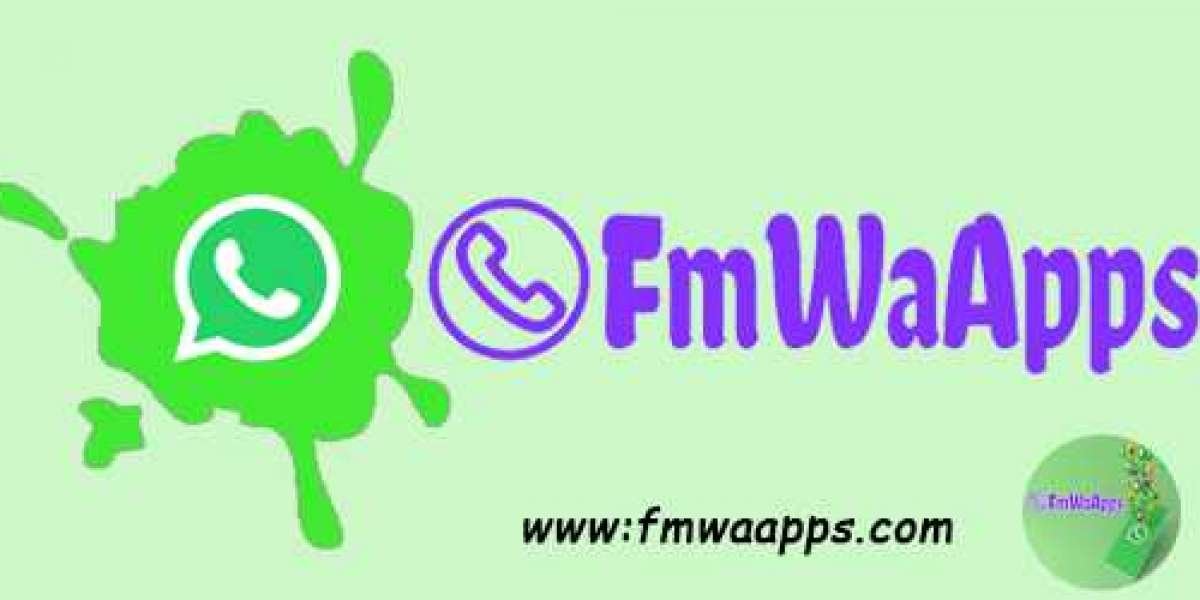 fm whatsapp update latest features