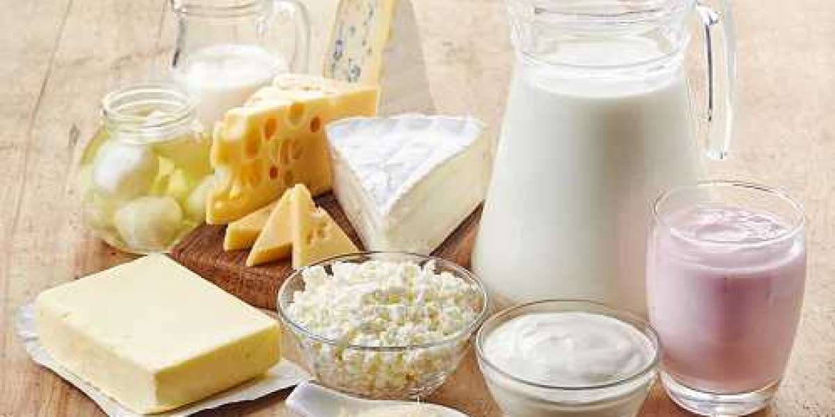 Dairy Ingredients Market Growth, Share, Key Player, Regional Segmentation, Insights