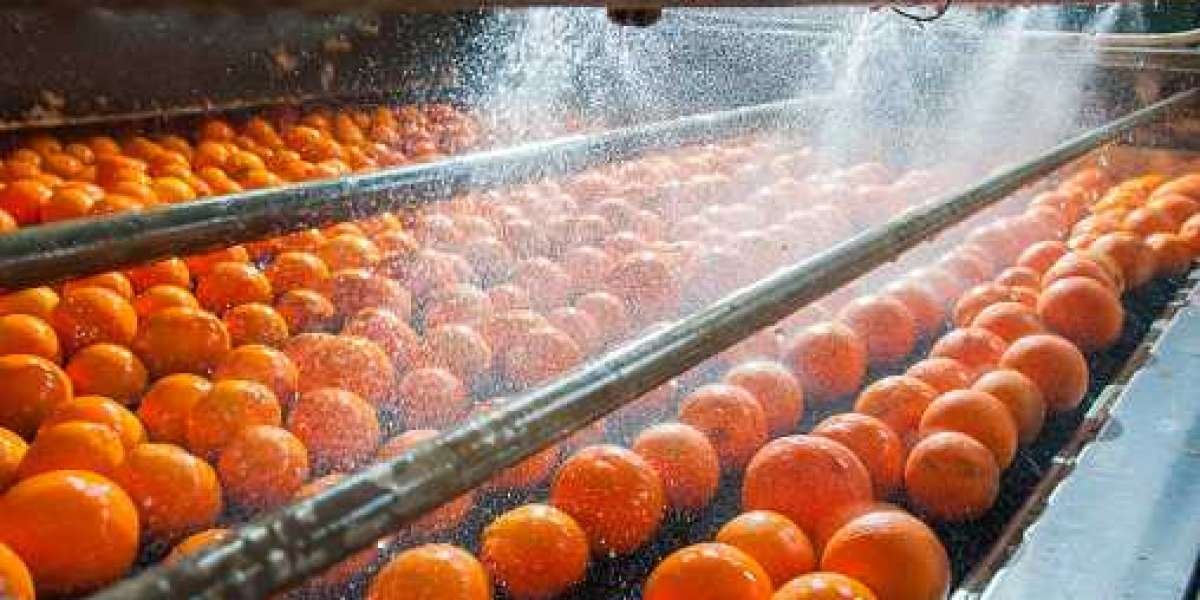 Fruit Processing Market Share, Growth, Regional Demand, Trend, Outlook with Forecast