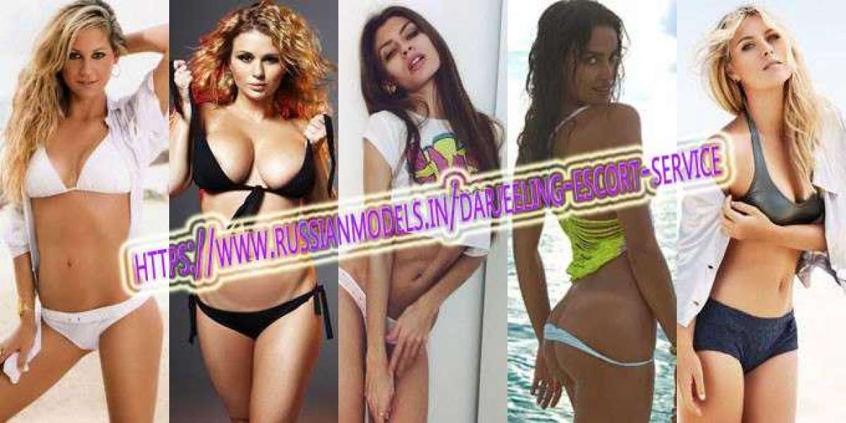 VIP Russian Models Call Girls Escorts In Udaipur