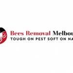 Bees Removal Melbourne Profile Picture
