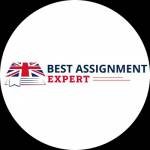 Best assignment expert profile picture