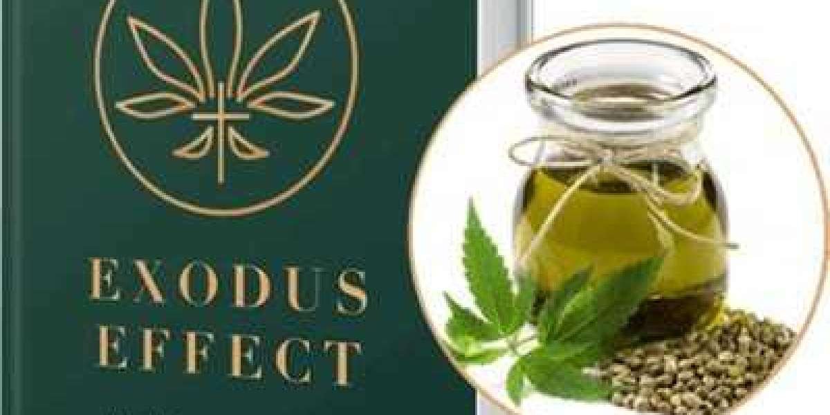 https://www.tribuneindia.com/news/brand-connect/exodus-effect-reviews-fact-check-risky-negative-side-effects-exposed-449
