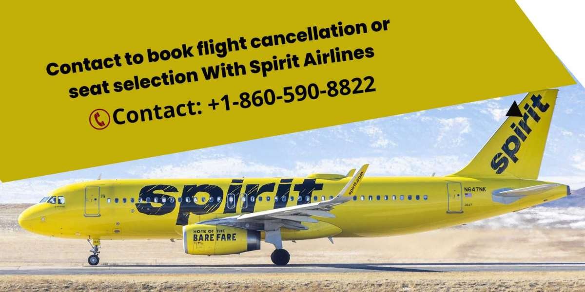 How to change Spirit flight without paying the change fee?