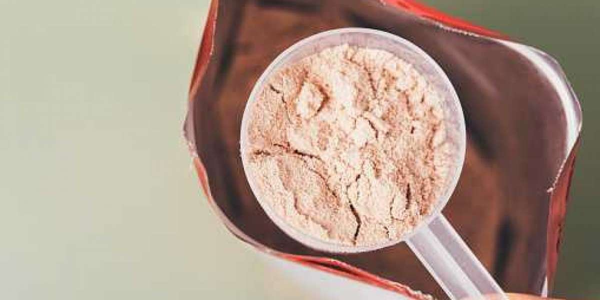 Whey Protein Ingredients Market Research Development Plans – Worldwide Market Trends & Opportunities and Forecast to