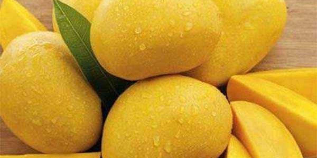 Top Surprising Alphonso Mango Benefits Fruit