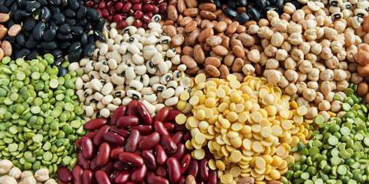 Fruits and Vegetable Seeds Market Overview, Poised To Garner Maximum Revenue Growth By 2030