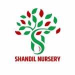 Shandil Nursery Profile Picture