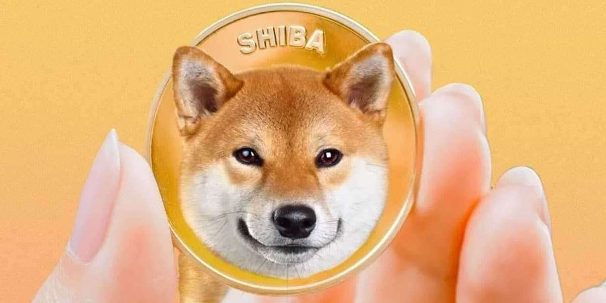 How to Buy Shiba Inu Coin In USA