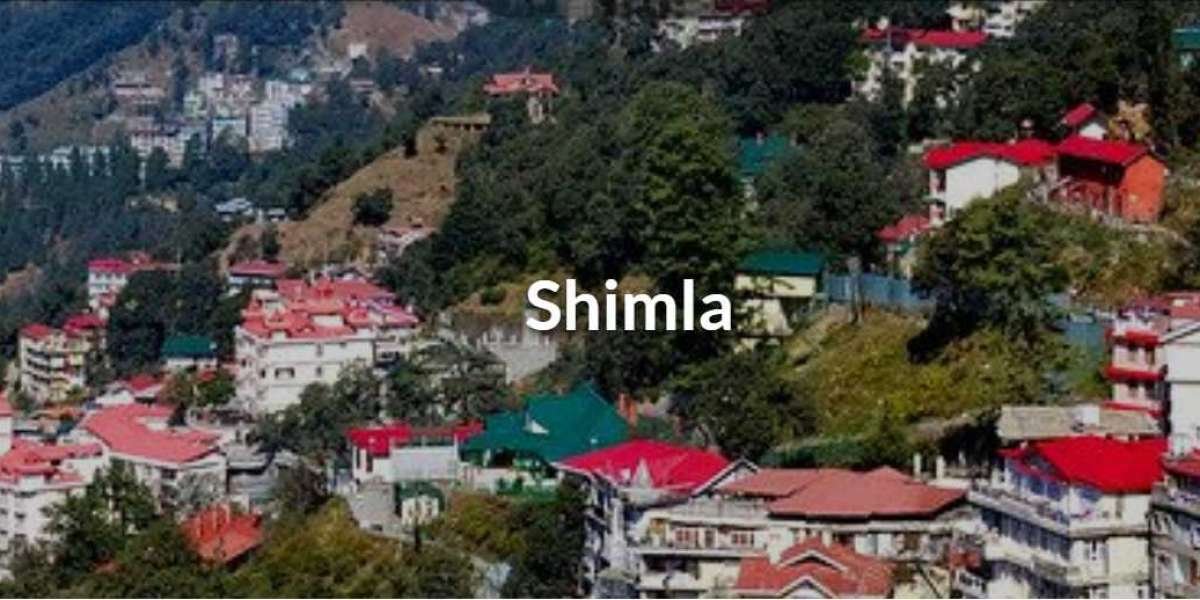 Trekhievers   Shimla