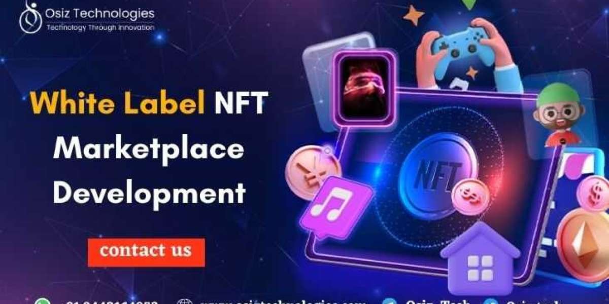 Revolutionize Your Business with White Label NFT Marketplace Development