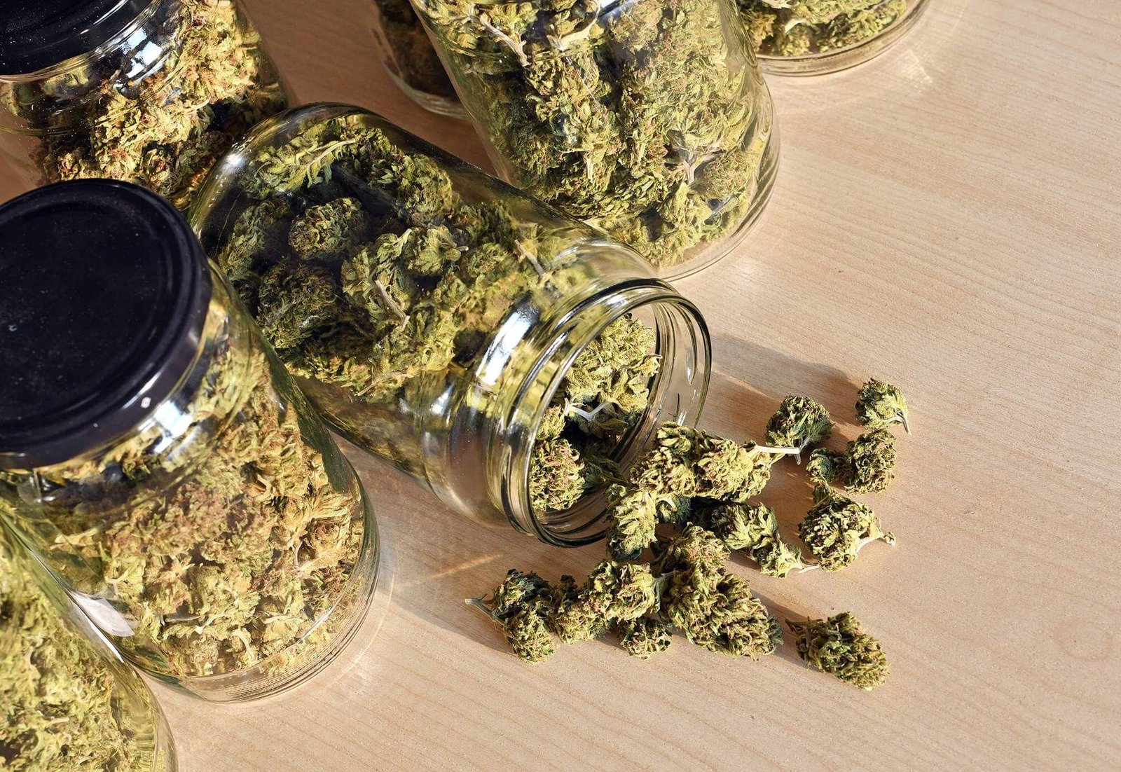 Buy Sativa Marijuana & Weed Strains Seeds Toronto - Grabbakush