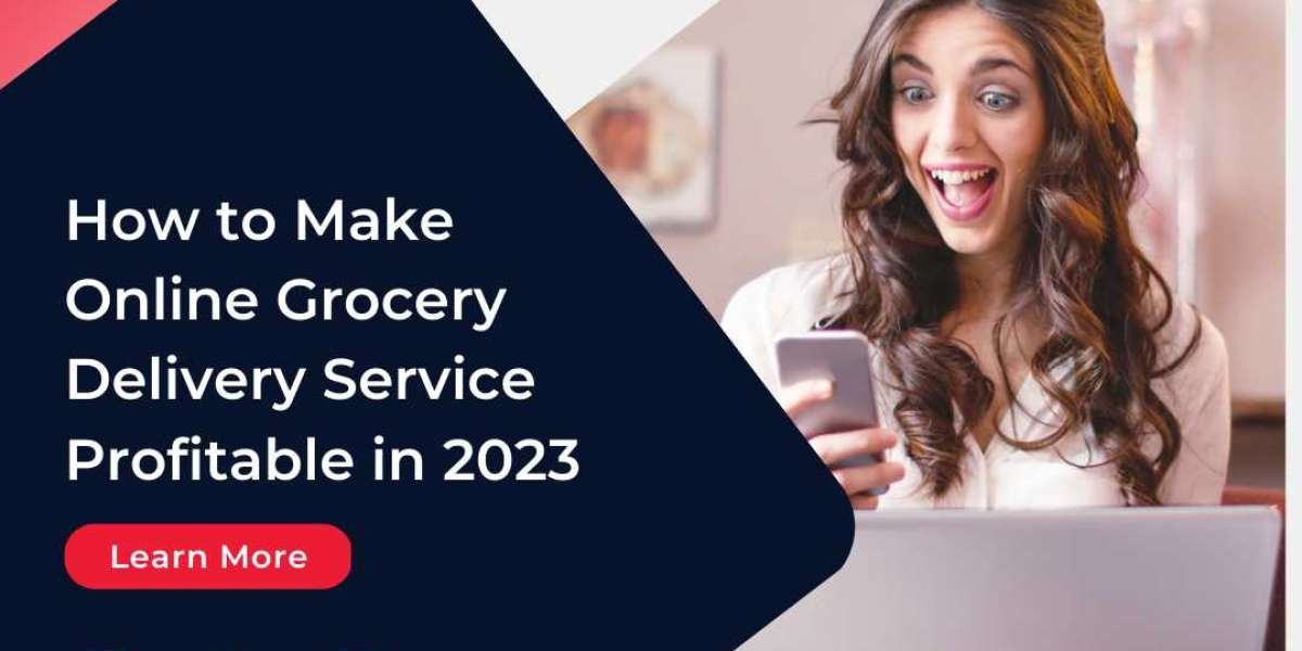 How to Make Online Grocery Delivery Service Profitable in 2023