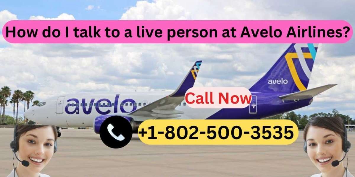 How do I talk to a live person at Avelo Airlines?