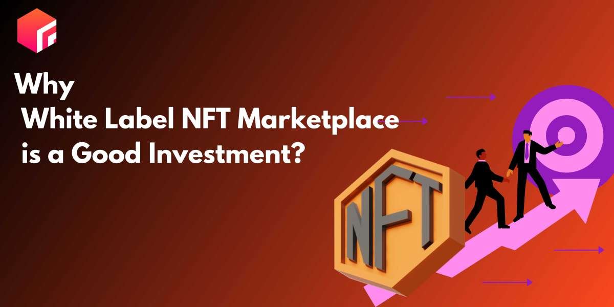 Why Developing a White Label NFT Marketplace is a Good Investment?
