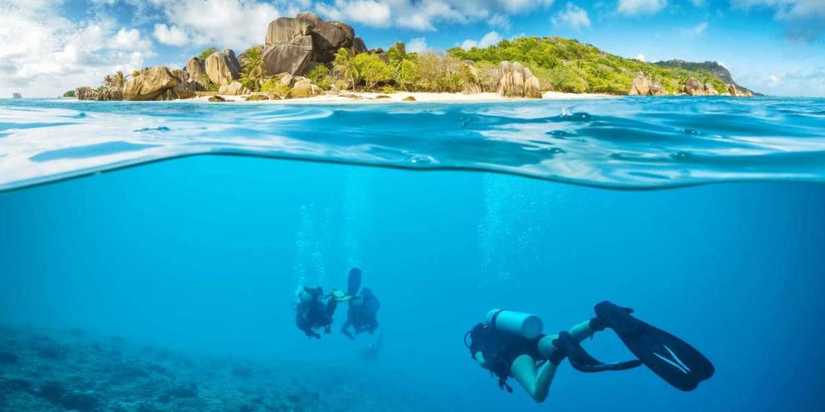 Unleash the Underwater Magic: Scuba Diving Adventure at Grand Island, Goa