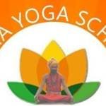 Hatha Yoga School Profile Picture