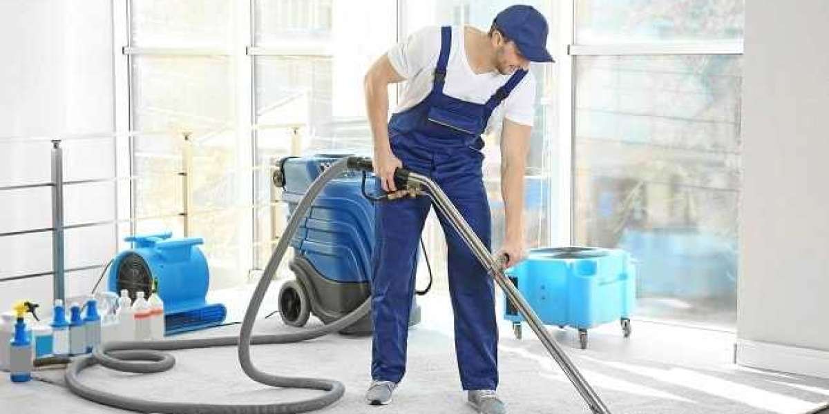 Expert Carpet Cleaning: Transforming Your Home with Professional Services