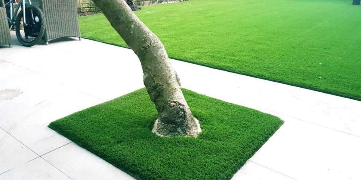 8 Simple Tips for Maintaining a Beautiful Lawn