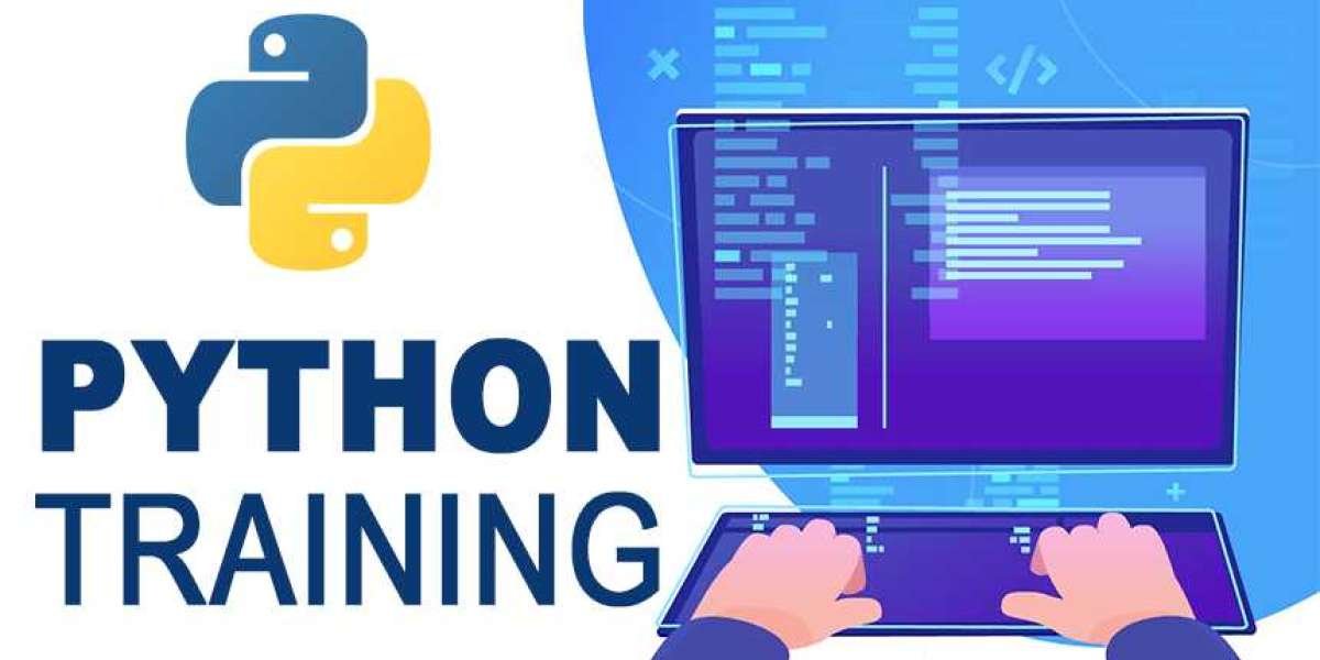Python as a Promising Career Field: The Best Python Training Programs and Keyboards for Aspiring Developers