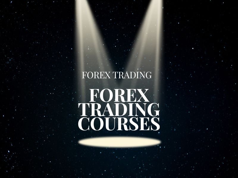 Discover Our Forex Trading Courses - All Niches Post