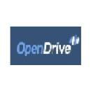 Open Drive Profile Picture