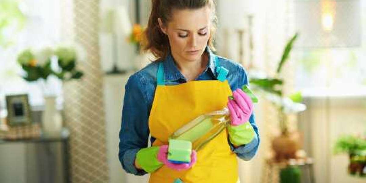 2017-2027 Eco friendly Multi Purpose Cleaning Products Market Future Predictions and New Updates