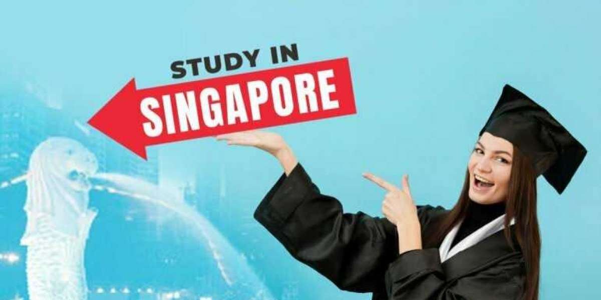 Study Abroad in Singapore and Experience the Epitome of Academic Excellence