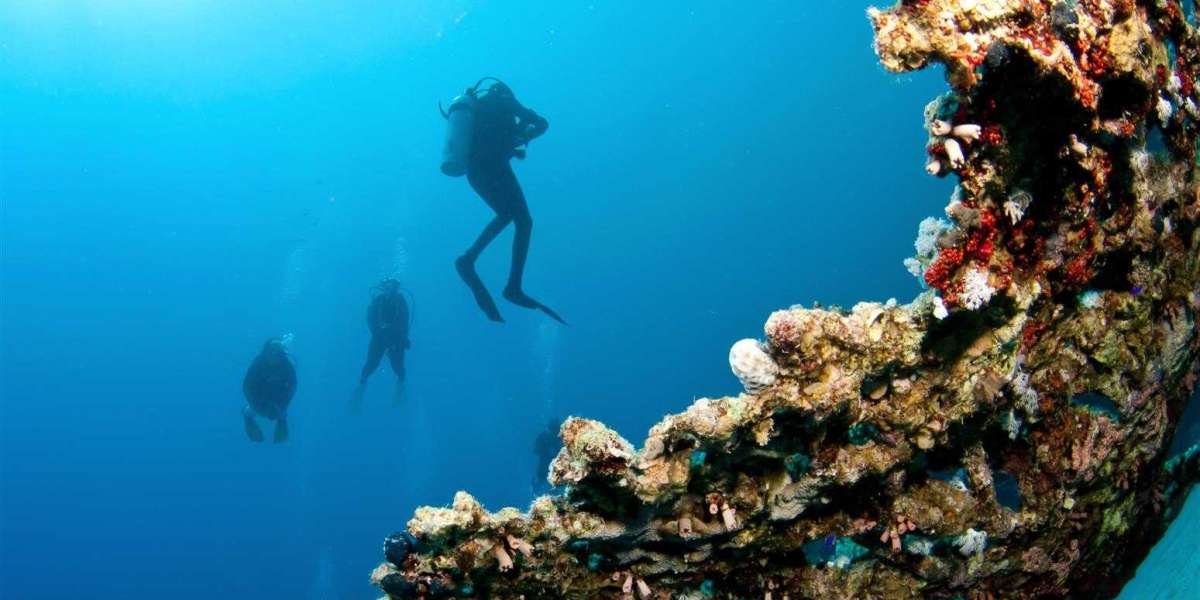 The Ultimate Guide for Scuba Diving in Andaman