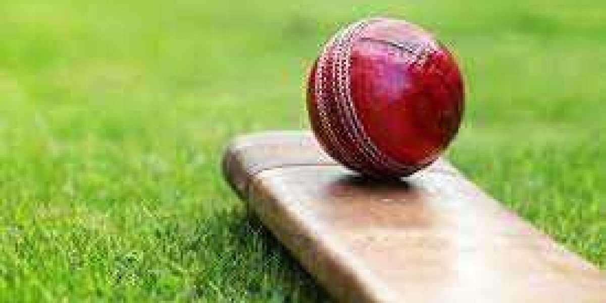 Online Betting IDs in Cricket: Riding the Thrilling Wave
