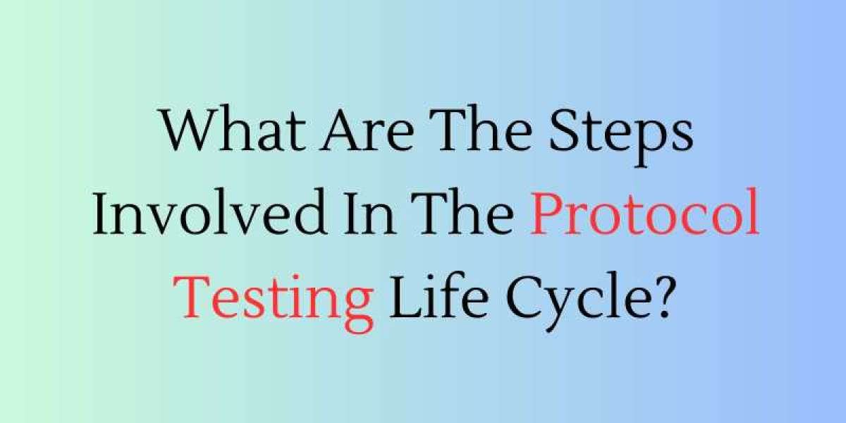 What Are The Steps Involved In The Protocol Testing Life Cycle?