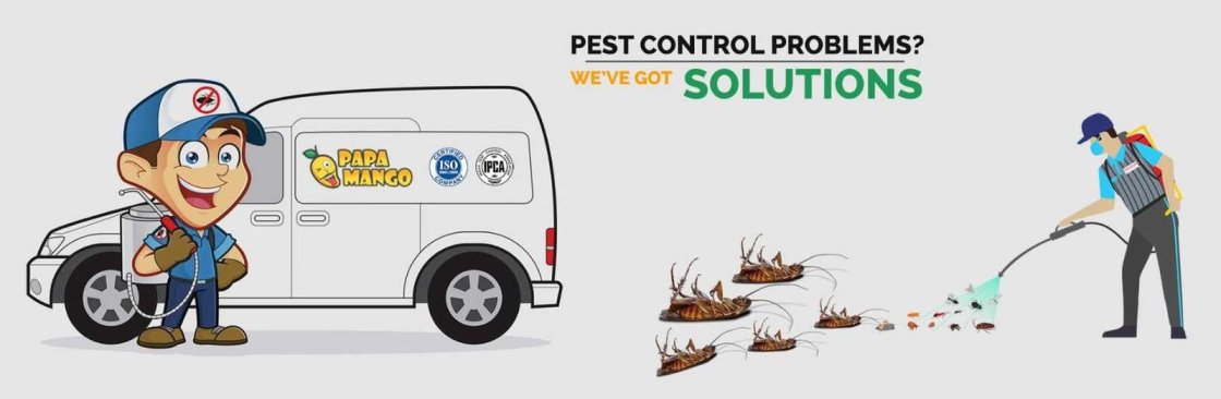 Reliable Termite Control Services Cover Image