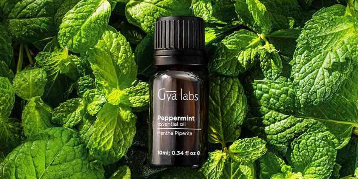 The Enchanting World of Gyalabs Mint Essential Oil: Nature's Invigorating Gift