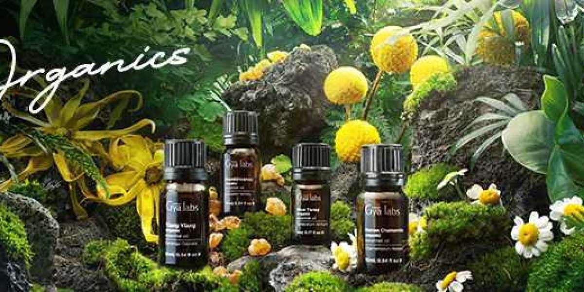 Exploring the Benefits of GyaLabs Organic Essential Oils