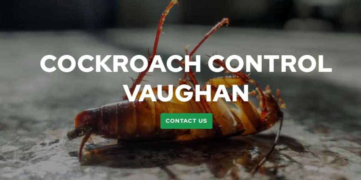Cockroaches Control Vaughan