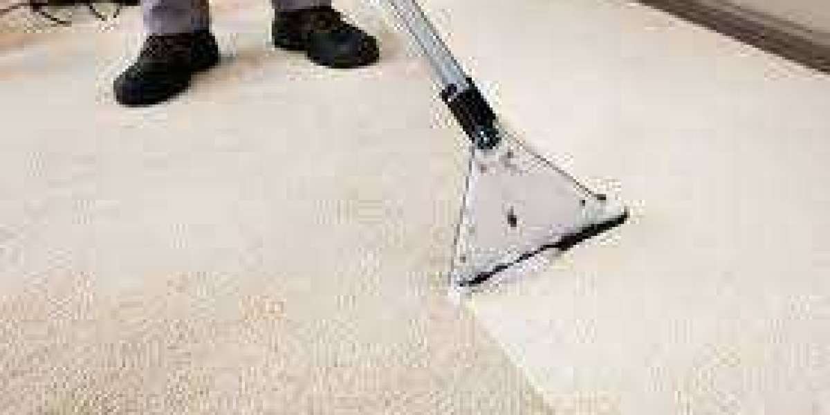 The Wonders of Professional Carpet Cleaning for Your Living Space