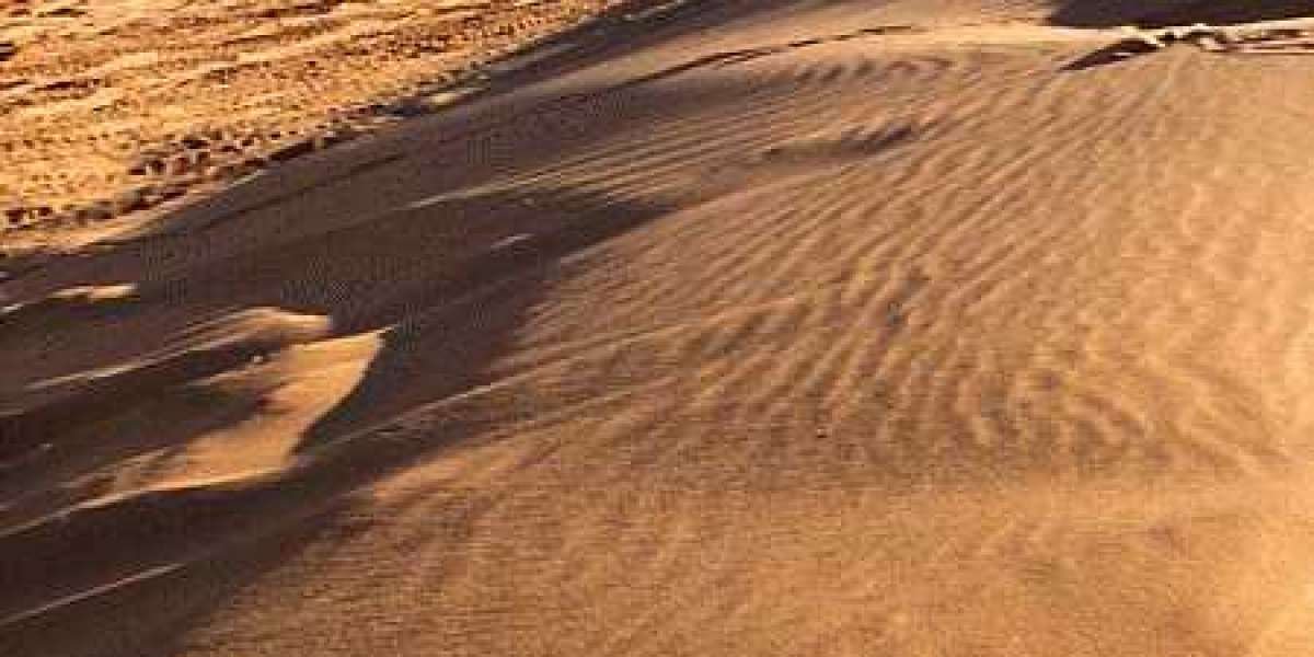 Sands of Stability: Unraveling the Secrets Behind Stabilized Sand Solutions