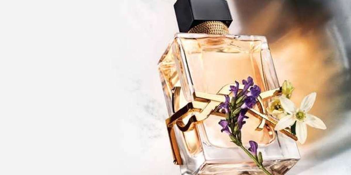 Discover Your Signature Scent | Perfume Blog Explorations