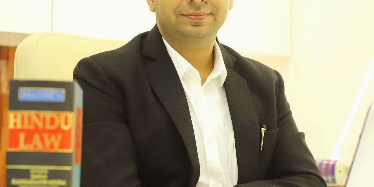 Top Constitutional Law Lawyers - Advocate Nitin Shokeen