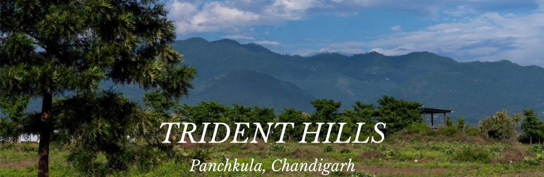 Trident Hills Panchkula Residential Project in Panchkula Cover Image