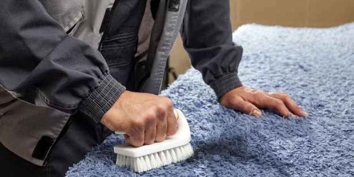 Easy and Effective DIY Carpet Cleaning Methods That Work