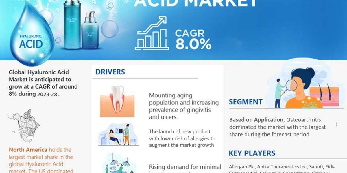 Top 5 Leading Companies in Hyaluronic Acid Market | Latest Investment, Growth Strategies and Business Plan for Coming Ye