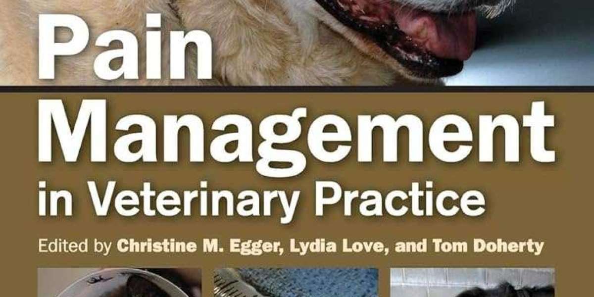 Veterinary Pain Management Market Size, Share Analysis, Key Companies, and Forecast To 2030