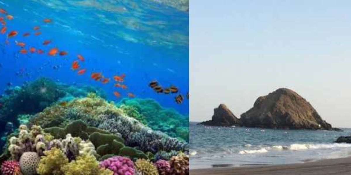 11 Beautiful Places In Dubai For Scuba Diving Adventures In The Underwater World In 2023