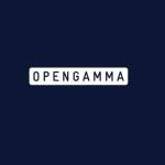 OpenGamma Profile Picture