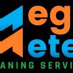Mega Meter Cleaning Services Profile Picture