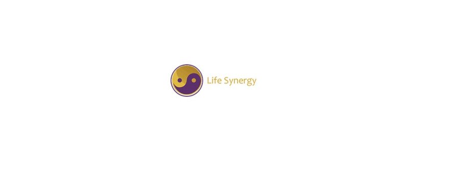 Life Synergy Retreat Cover Image