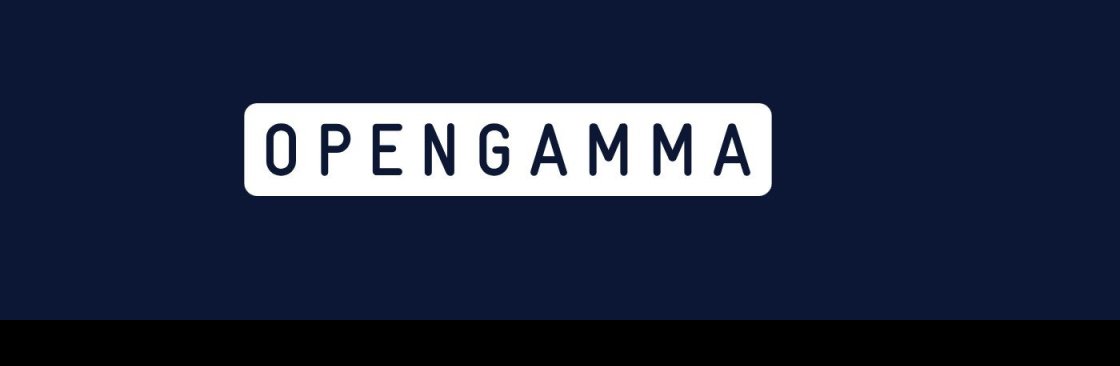 OpenGamma Cover Image