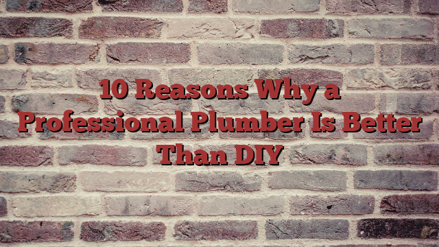 10 Reasons Why a Professional Plumber Is Better Than DIY - Buzziova